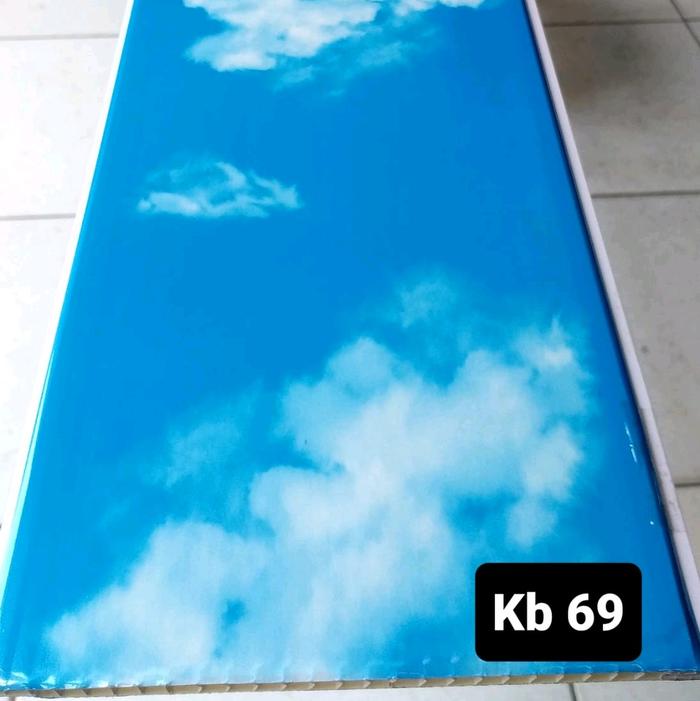 bahan plafon pvc